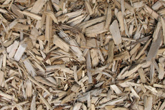 biomass boilers Queen Oak